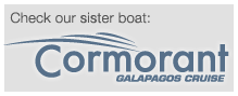 Cormorant Galapagos Catamaran